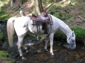 IMG-0342