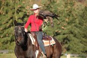 IMG-6448